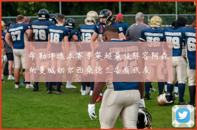 希勒评选本赛季英超最佳阵容阿森纳曼城切尔西桑德兰各有代表
